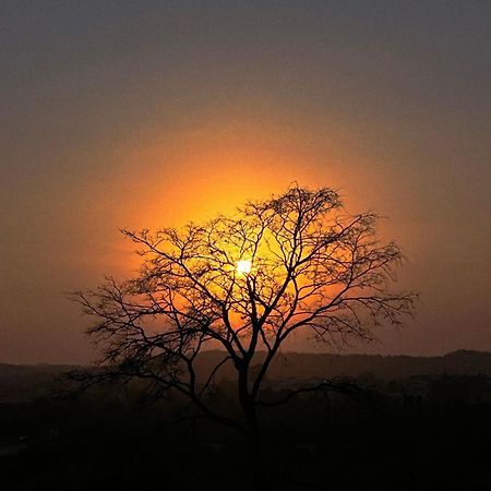 Gir Birding Lodge Sasan Gir Dış mekan fotoğraf